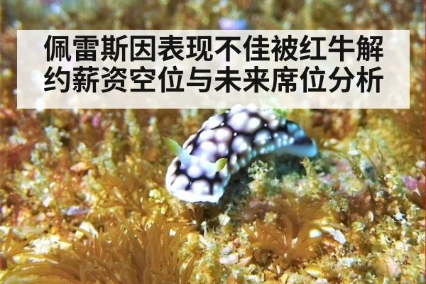佩雷斯因表现不佳被红牛解约薪资空位与未来席位分析